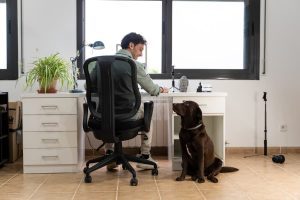 A man working from home in a comfortable office chair