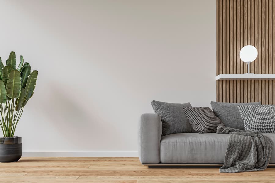Living room with gray sofa, light, and plant